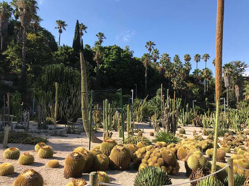 velo barcelone evjf jardin cactus