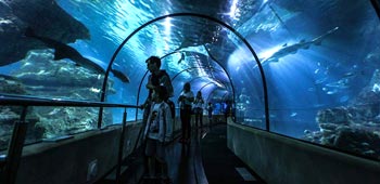 aquarium barcelone