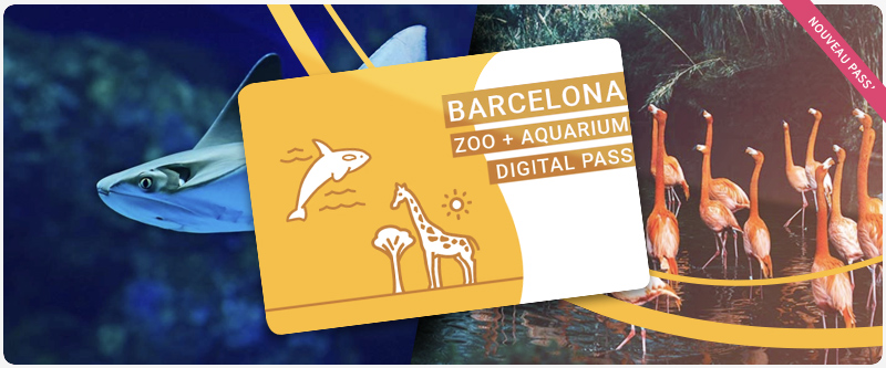 banniere pass barcelone zoo aquarium