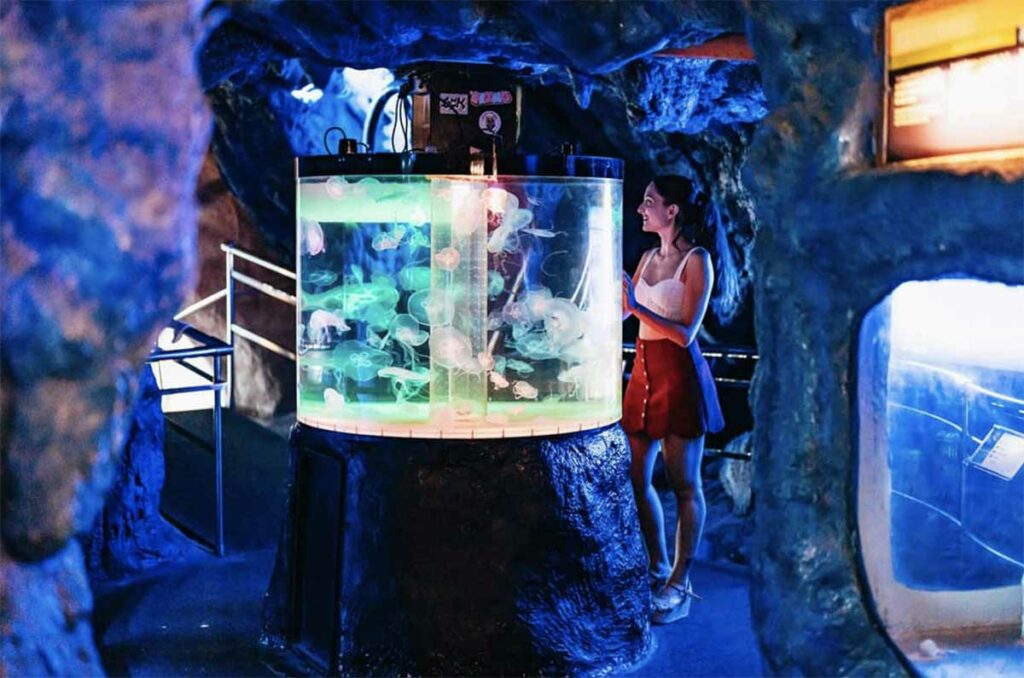 aquarium barcelone