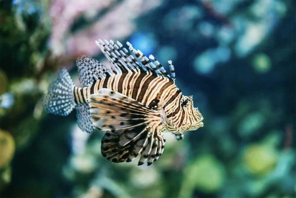 aquarium barcelone