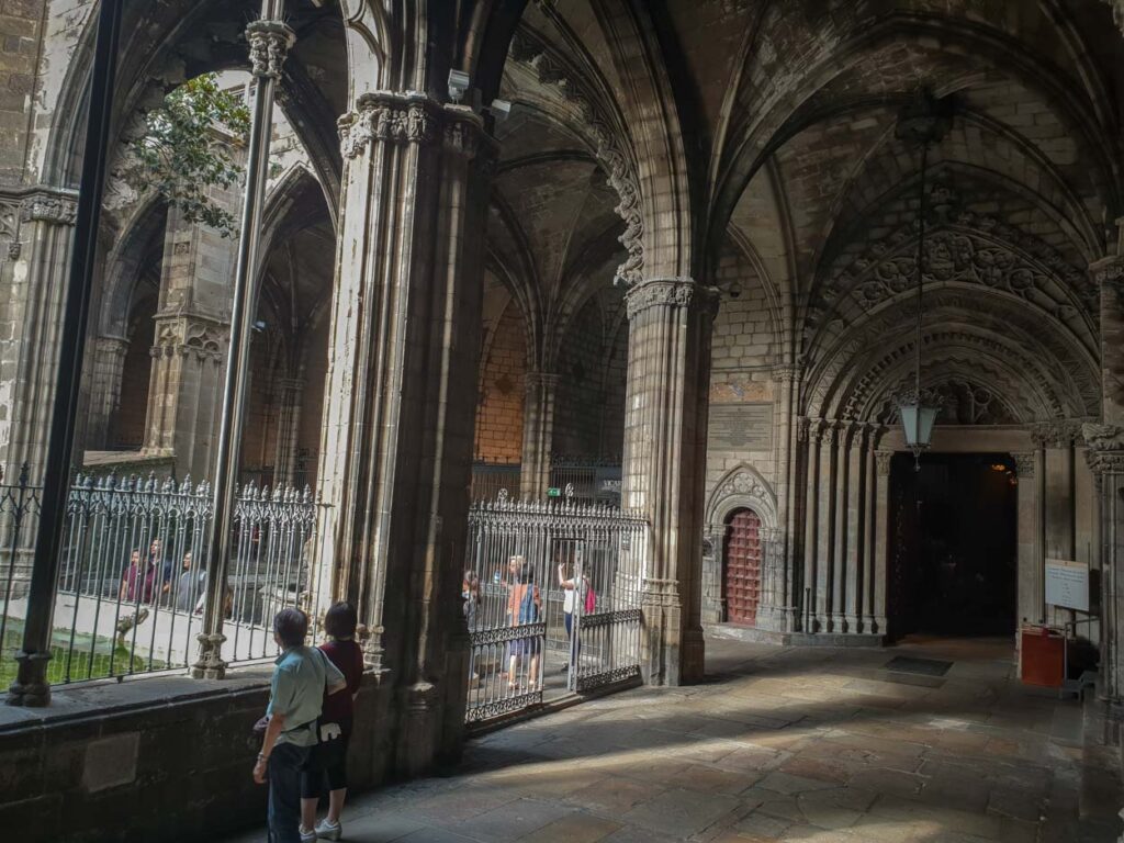 Cathédrale de Barcelone | Visitez la Cathédrale, ses toits, le cloître